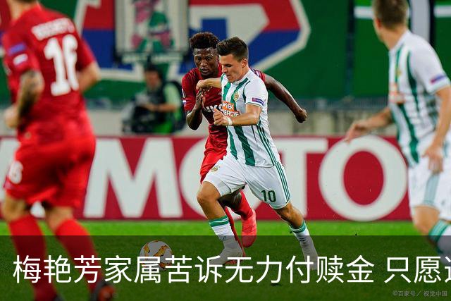 梅艳芳家属苦诉无力付赎金 只愿逝者安息回归