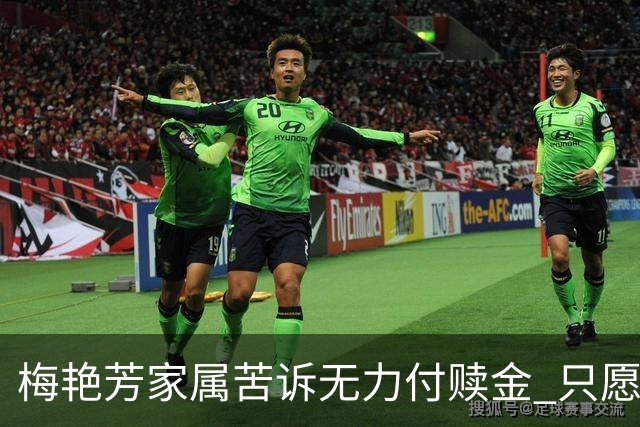 梅艳芳家属苦诉无力付赎金 只愿逝者安息回归